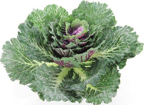 Admired By Nature Faux Cabbage Artificial Vegetables, Realistic Fake Food Plant Props for Home & Kitchen Decoration,
