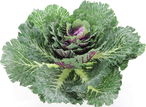 Admired By Nature Faux Cabbage Artificial Vegetables, Realistic Fake Food Plant Props for Home & Kitchen Decoration,