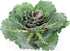 Admired By Nature Faux Cabbage Artificial Vegetables, Realistic Fake Food Plant Props for Home & Kitchen Decoration,