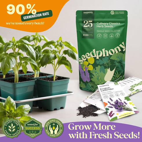 25 Pack 13,055+ Culinary Herb Seeds Variety - Non-GMO Heirloom Herbs Seeds for Planting Indoor & Outdoor: Rosemary