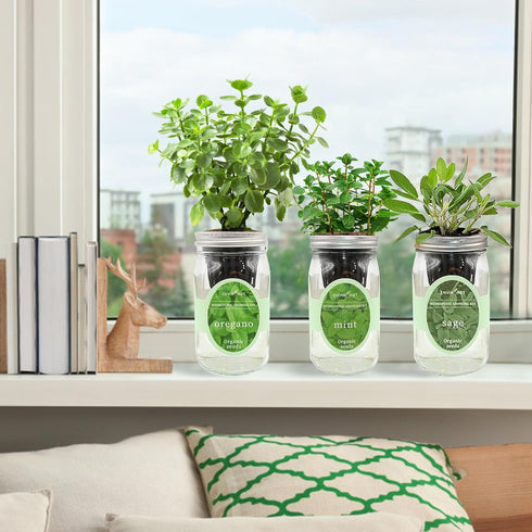 Set, Hydroponic Herb Growing Kit Self-Watering Mason Jar Herb Garden Starter Kit Indoor, Windowsill Herbs Garden. Grow