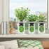 Set, Hydroponic Herb Growing Kit Self-Watering Mason Jar Herb Garden Starter Kit Indoor, Windowsill Herbs Garden. Grow