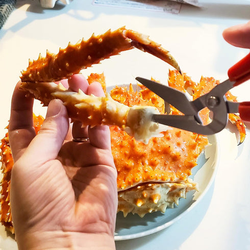 6.7", CANARY Crab Scissors Heavy Duty Made in JAPAN, Seafood Scissors for Cutting Crab Legs, Lobster, Shell, Sharp
