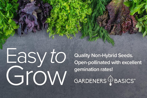 Packets Pack 5 Gardeners Basics Power Greens Seeds for Planting Individual - Arugula, Spinach, Swiss Chard, Kale