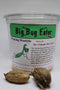 TruBlu Supply 1 Fresh Large Chinese Ootheca Praying Mantis Egg Plus + Crystal Clear