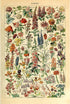 Meishe Art Vintage Poster Print - Flower Floral Botanical Collections Garden Flowers Identification Reference Chart