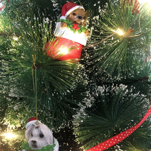 Cici & Jimmy 3.5 Dachshund Christmas Ornament with Gold Hanging String Cute Wiener Dog in Stocking Figurine for Tree