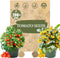 Dwarf Duo Tiny Tim Tomato Seeds - 100+ Red & 100+ Yellow