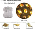 Natural Conch LED String Lights, 10 Ft, 10 LED, Battery Powered, Waterproof, Warm White, Beach Theme Fairy Lights with