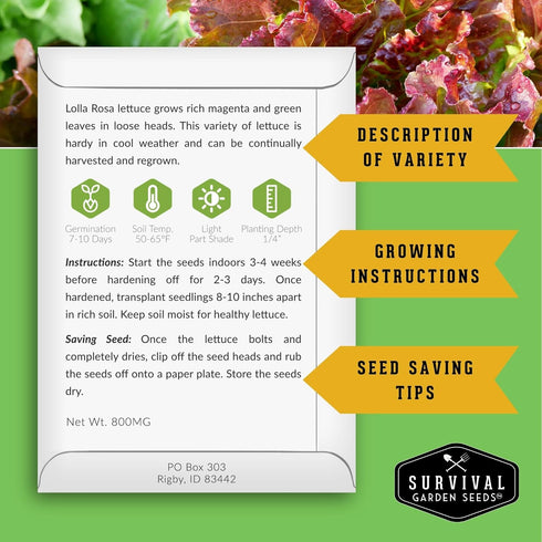 10 Lettuce Seeds for Planting | Heirloom Lettuces Buttercrunch, Romaine, Iceberg, Oakleaf, Simpson, Salad Bowl, Lolla
