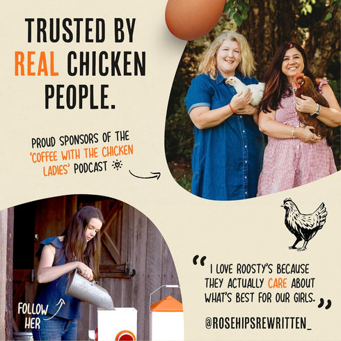 1LB Roosty's Naturals Chicken Nesting Herbs - Chili Mix | Premium Nesting Herbs for Coop | Made in The USA | Chicken