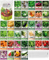 Gardeners Basics Survival Vegetable Seeds Garden Kit Over 16,000 Seeds Non-GMO and