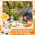 4 60 Amylove Pieces Cute Kitchen Timer Animal Mechanical Manual Fox Raccoon Bear Wolf Minutes Loud Alarm Egg Windup