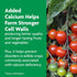 3 4.5 lb. Miracle-Gro Shake 'N Feed Tomato, Fruit and Vegetable Plant Food - Fertilizer for Vegetable Gardens