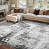 5x7 Ft Area Rugs for Living Room, Soft Non-Slip Washable Rugs Modern Abstract Pattern Carpet for Bedroom Indoor Floor