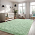 Fluffy Fuzzy Sage-Green Rugs for Bedroom - 4x6 Feet Soft Non Slip Plush Area Rug for Living Room and Kids Room