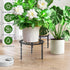 2-Pack 10-inch TOSKING Heavy Duty Metal Plant Stands - Decorative Round Plant Stand, Adjustable Leveling Feet