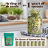8 oz 8 32 Seedboy Organic Non-GMO Sprouting Seeds, Superfood Blend - USA Grown Microgreens Mix with Broccoli, Radish