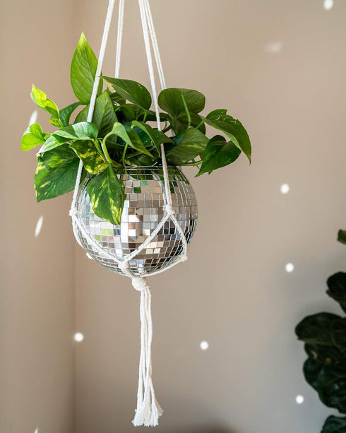 8" (8" Hanging Disco Ball Planter - with Acrylic Stand and Macrame Plant Hanger - Home Dcor, Room Dcor, Patio or Boho