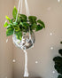 8" (8" Hanging Disco Ball Planter - with Acrylic Stand and Macrame Plant Hanger - Home Dcor, Room Dcor, Patio or Boho