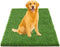 THREE ORANGES Artificial Grass Mat 47x31IN, 1.38" Thick Realistic Dog Potty Grass with Drainage,
