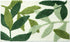 Green Leaves Bath Mats - Non-Slip Soft Microfiber Absorbent Doormat, Boho Carpet for Bathroom Floor