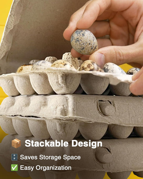 WizzVac 24 50 Pack Grids Pulp Quail Egg Cartons - Paper Pulp Bulk Cartons for Quail Eggs with Stickers and a Pair