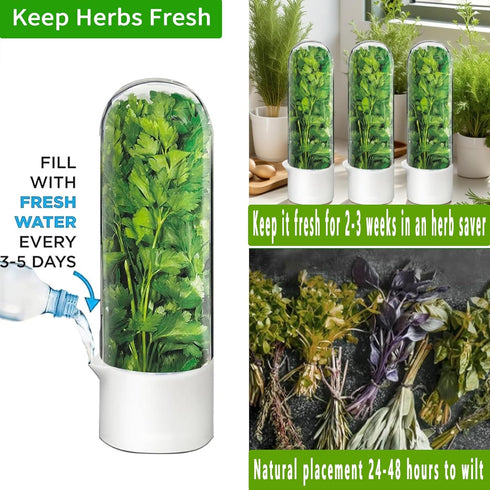 Minkeytal 2-3 Herb Saver for Refrigerator - Herb Keeper & Cilantro Container for Fridge | Vegetable Preservation