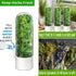 Minkeytal 2-3 Herb Saver for Refrigerator - Herb Keeper & Cilantro Container for Fridge | Vegetable Preservation