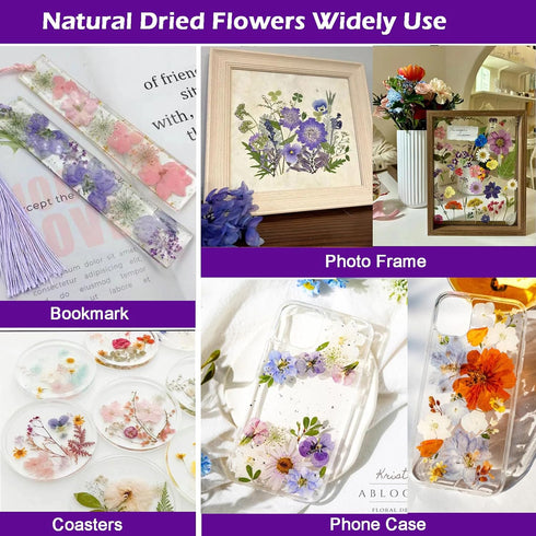 Flowers for Resin Model, Real Pressed Flowers Dry Leaves Bulk Natural Herbs Kit for Scrapbooking DIY Art Crafts, Epoxy