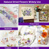 Flowers for Resin Model, Real Pressed Flowers Dry Leaves Bulk Natural Herbs Kit for Scrapbooking DIY Art Crafts, Epoxy