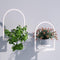 Flenpptly Wall Plant Holder, Wall Planter for Indoor Plants, Window Plant shelves