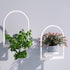 Flenpptly Wall Plant Holder, Wall Planter for Indoor Plants, Window Plant shelves