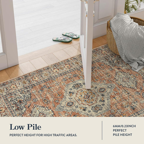 2x3 Lahome Oriental Door Mat Indoor Entrance, Washable Fall Indoor Rugs for Entryway Soft Small Kitchen Rugs Non Slip