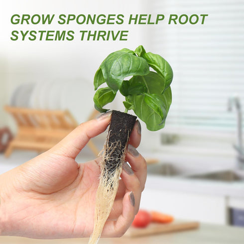 8 24 Kratky Method Hydroponic Planter Kit, Hydroponic Planter Plus Growing Sponges for Herbs, Hydroponic Mini Buckets