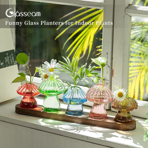 5 Glasseam Mushroom Plant Propagation Stations: Glass Terrarium Jars with Wood Stand - Unique Hydroponic Planters