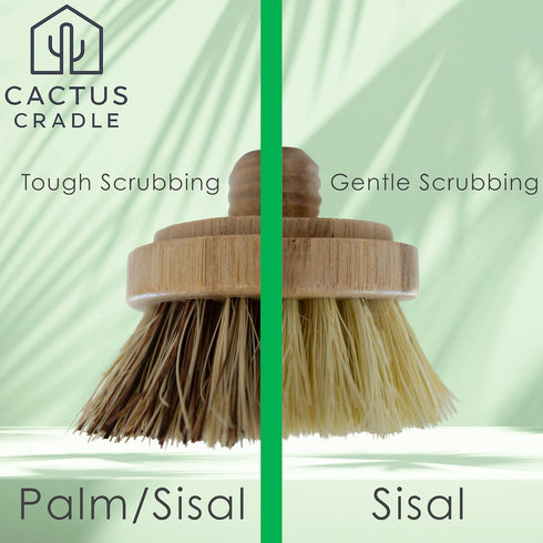 4-Piece Set 2 2 Cactus Cradle Bamboo Scrub Brush Kit Dish Brush with Handles & Interchangeable Heads | Plastic-Free