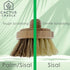 4-Piece Set 2 2 Cactus Cradle Bamboo Scrub Brush Kit Dish Brush with Handles & Interchangeable Heads | Plastic-Free