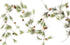 CraftMore Smokey Pine Garland, 6 Feet
