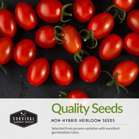 5 Variety Salsa Garden Seed Kit Seeds for Planting Tomato, Tomatillo, Onion, Jalapeo & Cilantro | Non-GMO Heirloom