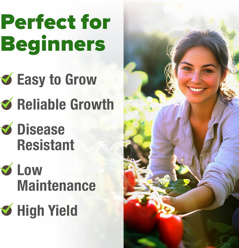 132+ HOME GROWN San Marzano Tomato Seeds Heirloom Non-GMO Seeds for Planting, High Germination, Indeterminate Roma