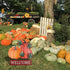YEAHOME Fall Decorations, 22" Decorative Garden Stakes with 2 Pack Pumpkin Welcome Sign for Outdoor Yard Decor