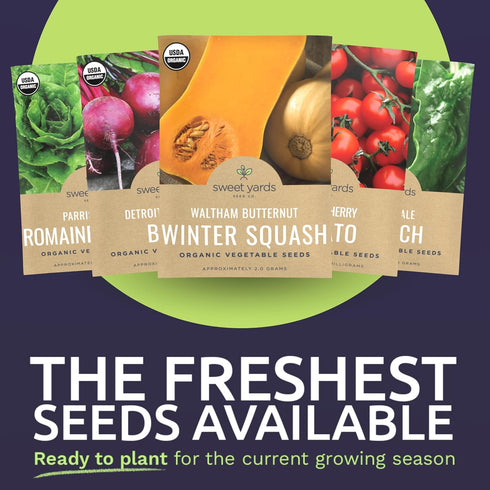Pack 10 Packs 2026 Organic Heirloom Garden Seeds Variety - Individual - Season - Cherry Tomatoes, Spinach, Squash