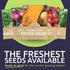Pack 10 Packs 2026 Organic Heirloom Garden Seeds Variety - Individual - Season - Cherry Tomatoes, Spinach, Squash