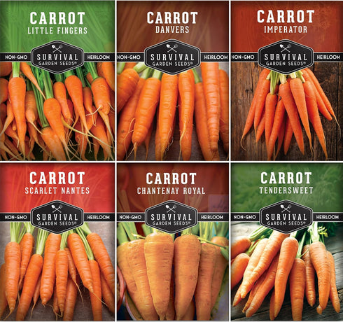 Carrot Seeds Variety Pack for Planting 6 Variety Carrot Seed Collection with