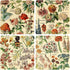 Meishe Art Vintage Poster Print - Flower Floral Botanical Collections Garden Flowers Identification Reference Chart