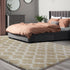 5x7 Puremy Shag Area Rug Feet Extra Soft Rugs for Living Room, High Pile Indoor Carpet for Bedroom, Kids Room, Nursery