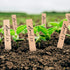 Whaline 100Pcs Wooden Plant Labels, Pointed Wooden Garden Markers with 2 Marker Pen for Seed Potted Plants