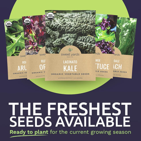 Pack 12 Packs 2026 Organic Healthy Greens Seeds Variety - Individual - Season - Arugula, Kale, Swiss Chard, Spinach