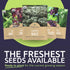 Pack 12 Packs 2026 Organic Healthy Greens Seeds Variety - Individual - Season - Arugula, Kale, Swiss Chard, Spinach